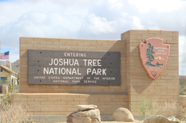 Joshua Tree National Palr
