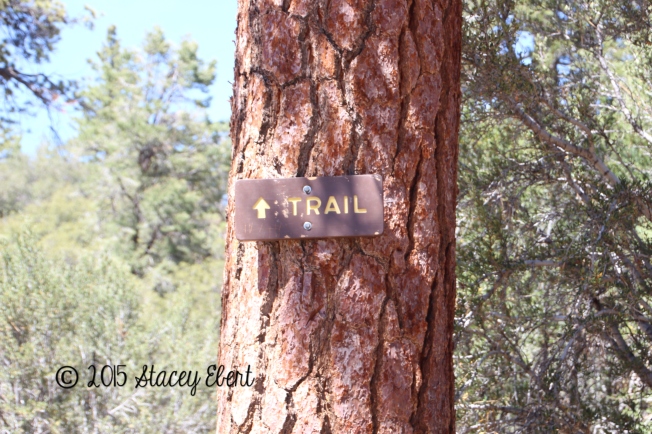 Trail sign at Big Bear Lake